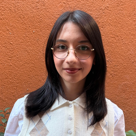 Adea Nesturi