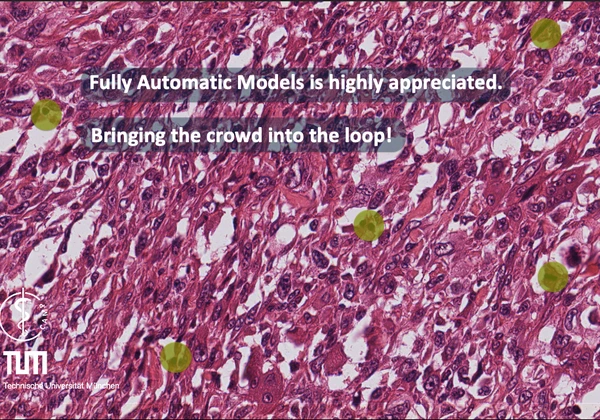 Invited Talk: Can Deep Learning Models be Trained with Annotations Collected via Crowdsourcing?