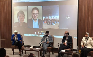 Panelist at Applied Case Studies of AI in Health for WHO EMRO Workshop, Egypt
