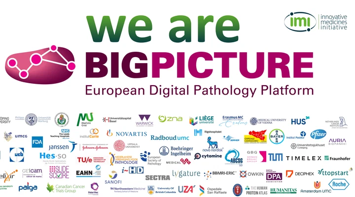 BigPicture Project