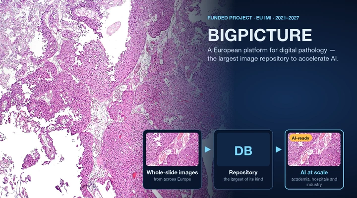 BigPicture Project