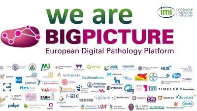 BigPicture Project featured image