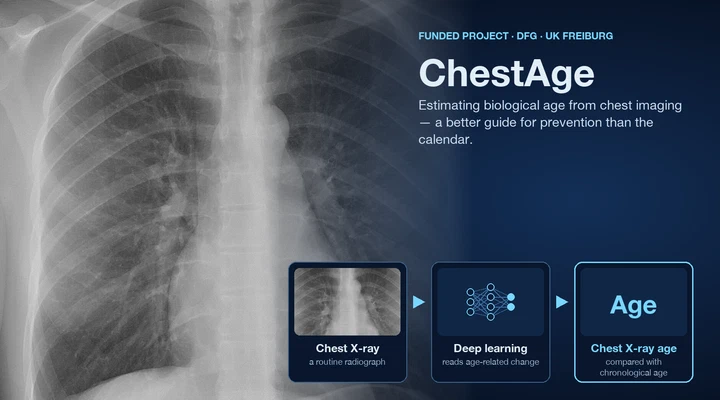 Deep learning to estimate aging from chest imaging