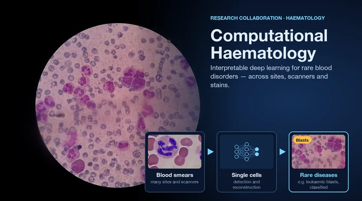 Interpretable learning for rare disease classification in computational hematology