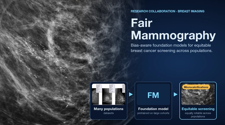 Bias-aware foundation models for equitable breast cancer screening