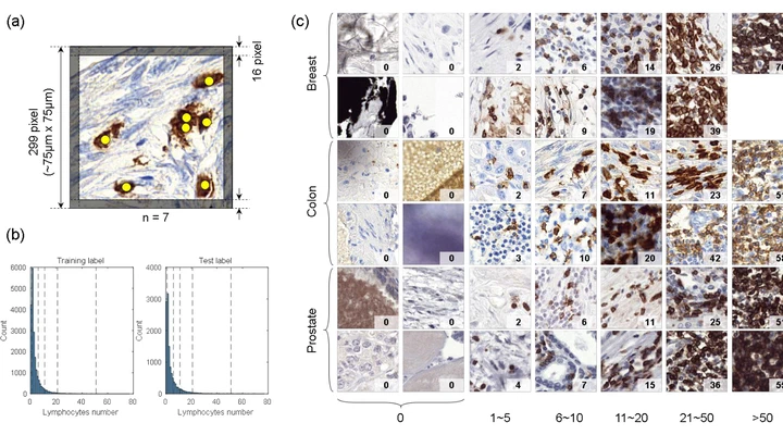 LYSTO: Benchmark and hackathon for lymphocyte assessment