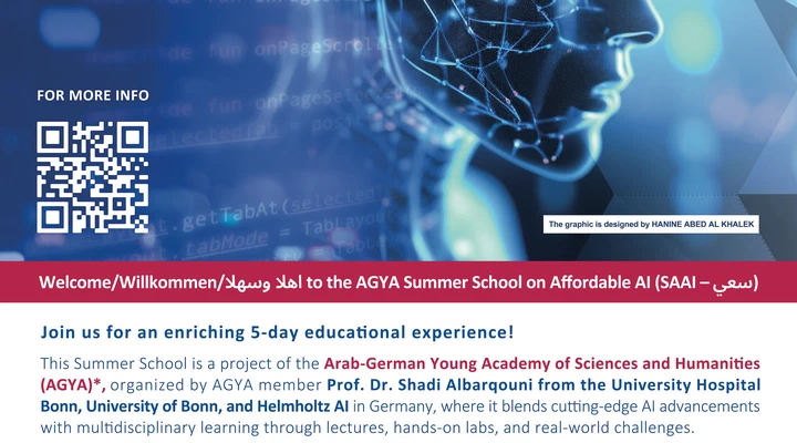 Summer School on Affordable AI (SAAI)