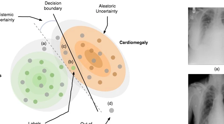 Modelling Uncertainty in Deep Learning for Medical Applications