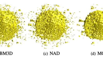 Multi-scale Graph-based Guided Filter for De-noising Cryo-Electron Tomographic Data featured image