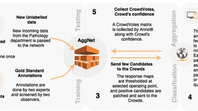 Aggnet: deep learning from crowds for mitosis detection in breast cancer histology images featured image