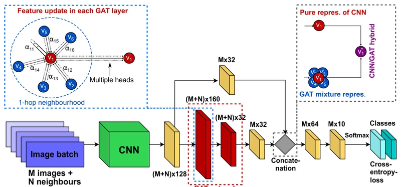 Adaptive image-feature learning for disease classification using inductive graph networks