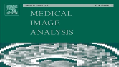 When multi-institutional dataset aggregation masks shortcut-like behavior in Foundation Models for medical imaging featured image