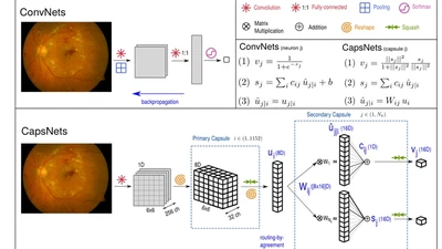 Capsule networks against medical imaging data challenges featured image