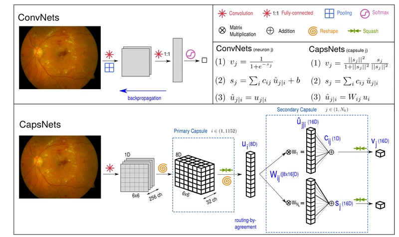 Capsule networks against medical imaging data challenges
