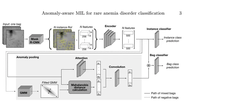Anomaly-aware multiple instance learning for rare anemia disorder classification