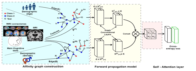 Self-attention equipped graph convolutions for disease prediction