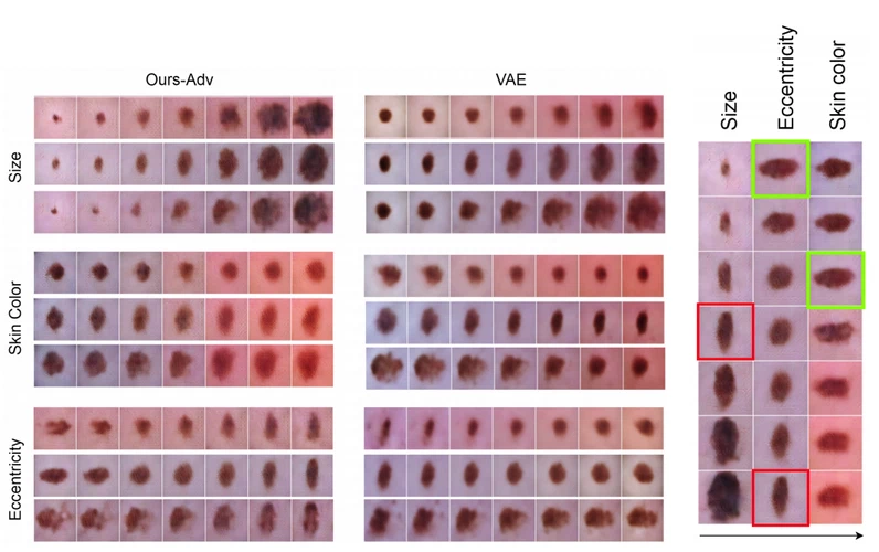 Learning interpretable disentangled representations using adversarial vaes
