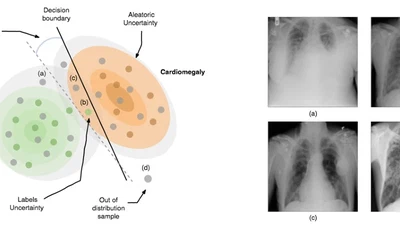 Learn to estimate labels uncertainty for quality assurance featured image